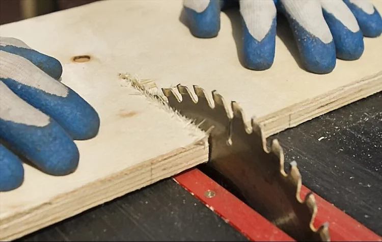 Table Saw Basics and Parts Explained in Detail
